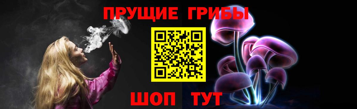 Балашиха  Псилоцибиновые грибы прущие грибы  Вход с VPN 